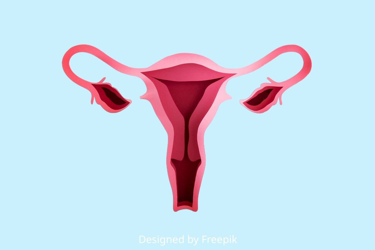 eLife's tweet photo. Identification of fallopian tube microbiota and its association with ovarian cancer. https://t.co/80wrAeqMk7 https://t.co/C3YmQ2OvXs