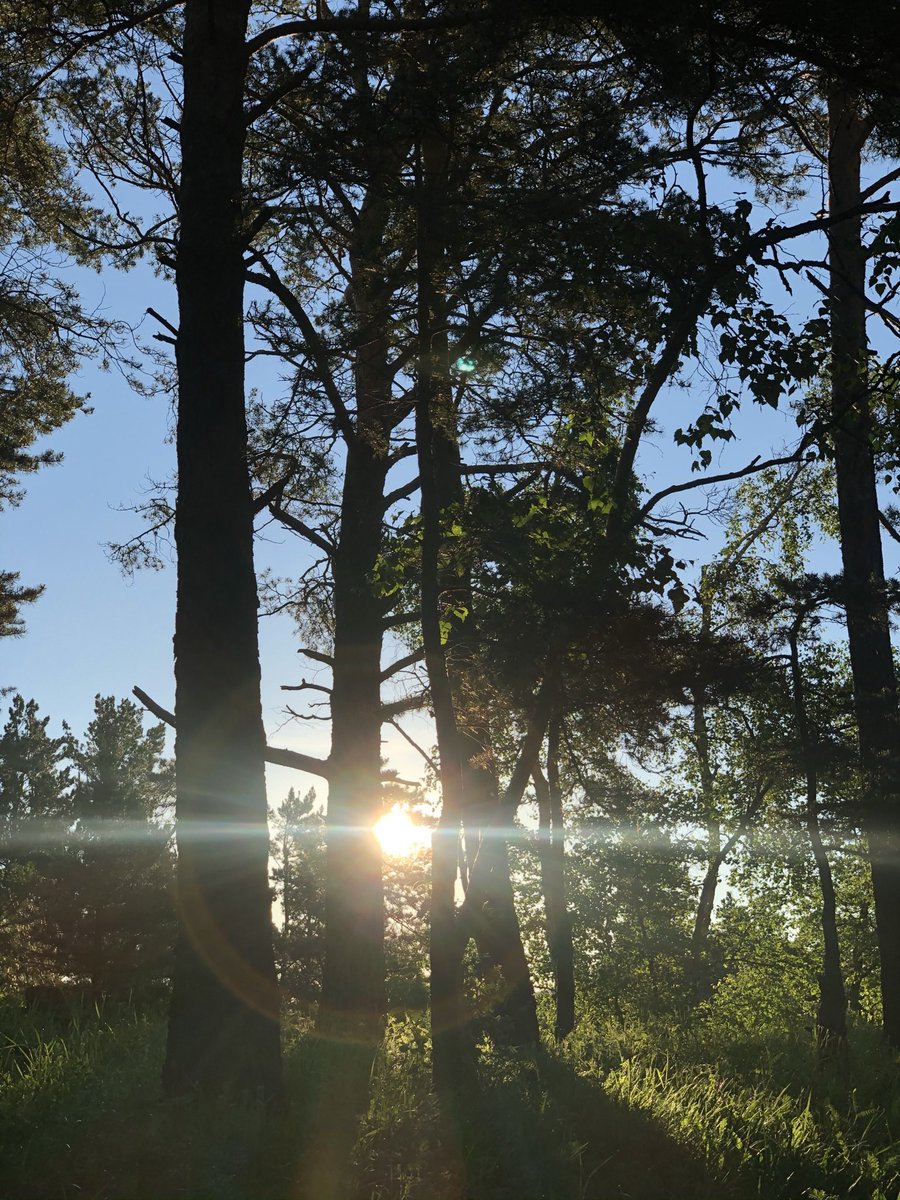 Өглөөний мэндээ 🤩🤘