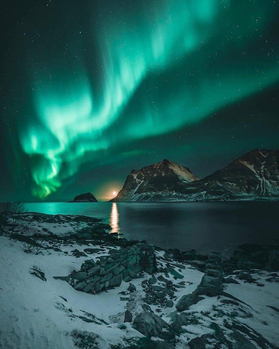 Northern Lights in Lofoten, Norway 🇳🇴