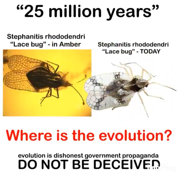 readybible.com tweet media