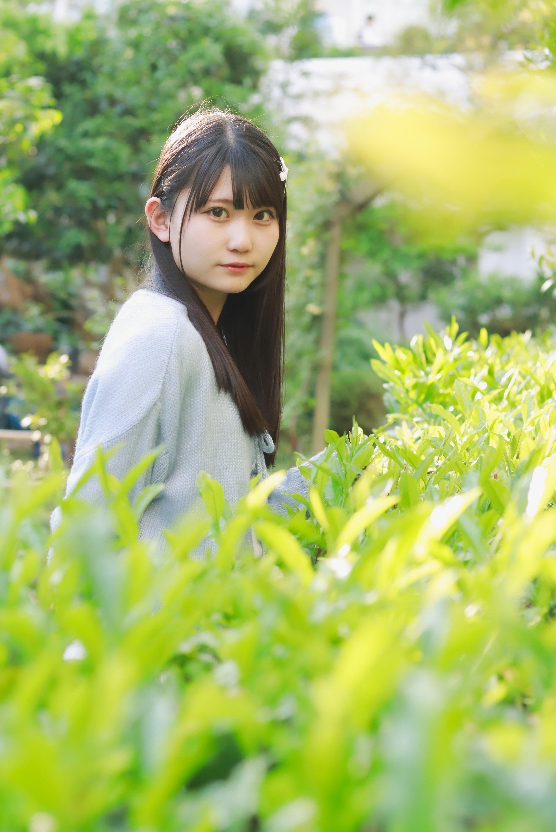 しょーた on X: 