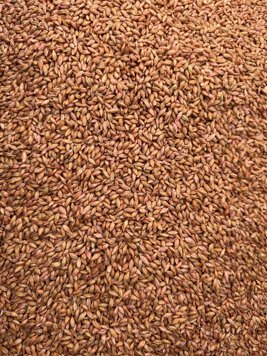 SeCanEzri's tweet image. If you look real hard you can see some CDC Durango going in the ground around Central AB 👀👀 hard to see with all that smoke though!! #plant24 #cdcdurango #seed