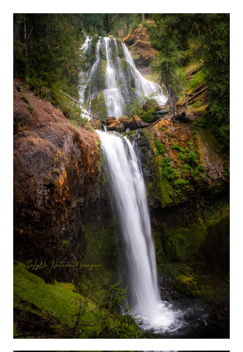 @StormHourMark PNW #waterfalls 🌲💦
#ThemeOfTheWeek 
#StormHour