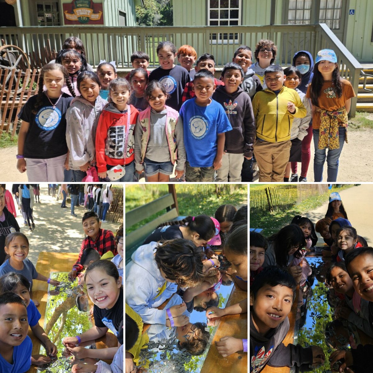 3rd graders had an absolute blast today exploring the majestic redwoods at Roaring Camp! 🌲🌞🐾💙
#ASA #PolarBearPride #GUSD #AllMeansAll
