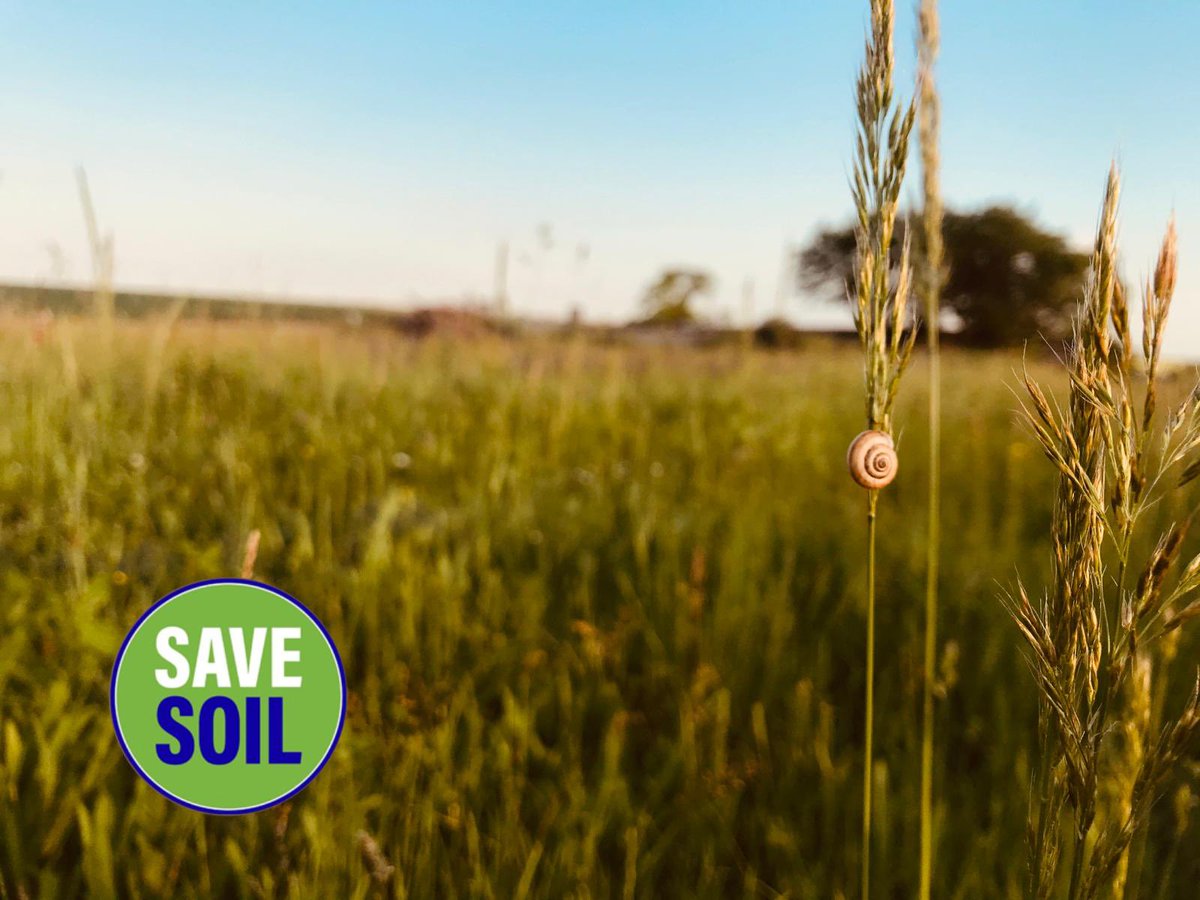 It’s our responsibility to take care of the land which has been passed down to us and which belongs to all generations to come #SaveSoil #MissionSoil @cpsavesoil @EUAgri @EUgreendeal