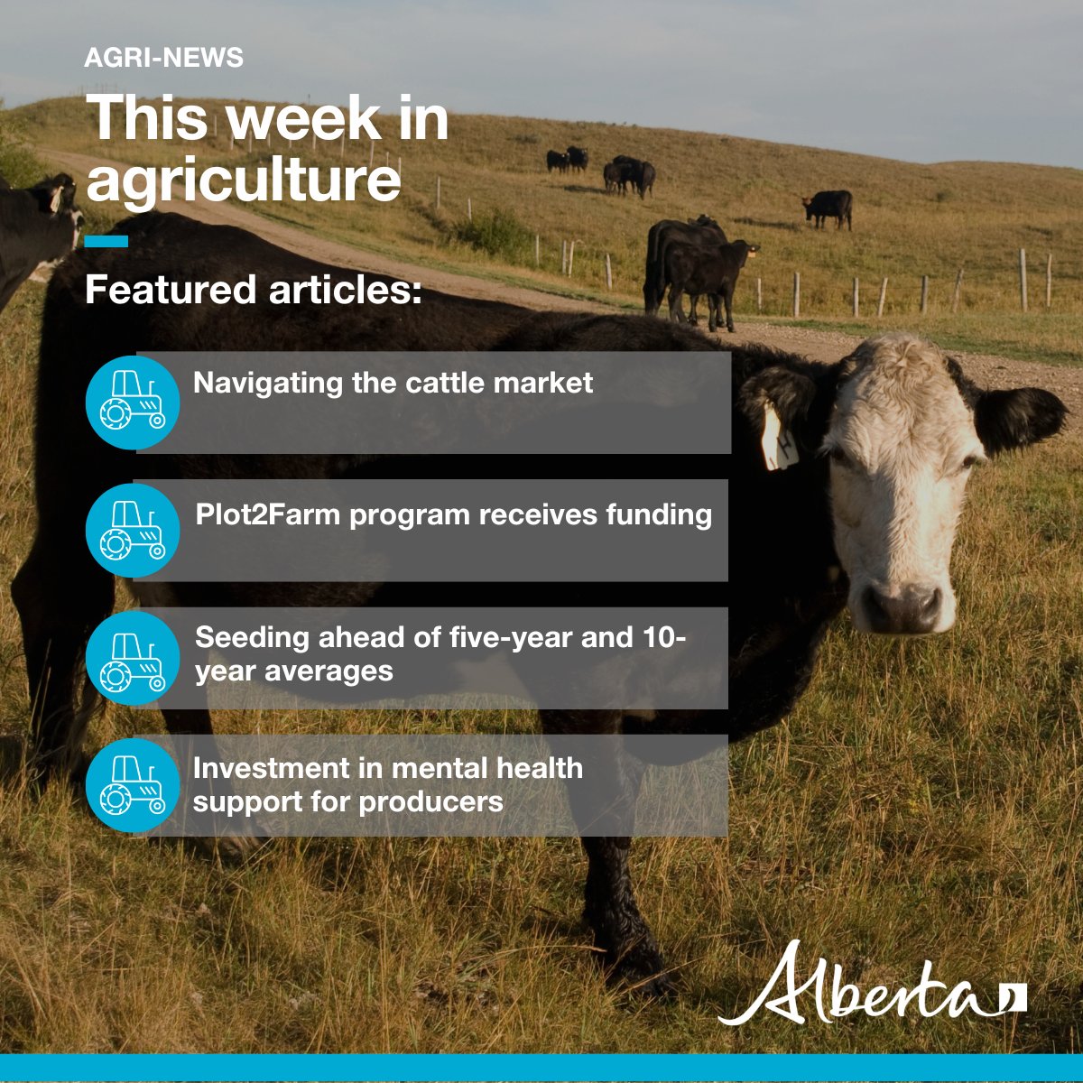 This week in Agri-News: 🐮 Navigating the cattle market 🚜 Plot2Farm program receives funding 🌱 Seeding ahead of five-year and 10-year averages 🧠 Investment in mental health support for producers 📈 Markets, events and more! secure.campaigner.com/CSB/Public/arc… #abag