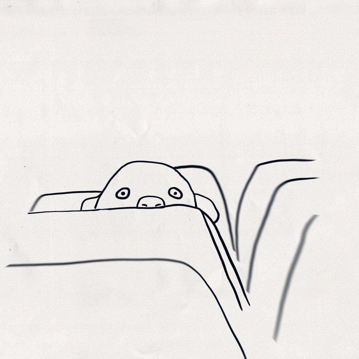 _dogsdrawnbadly's tweet photo. @twaniimals Tickets please https://t.co/HdQOIxAMet