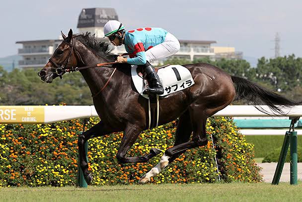 おはようございます☀

オークス出走馬見解

サフィラ

クラシック有力馬の位置付けにいた1頭
前走クイーンCはまさかの大敗

ただクイーンCは父か母父欧州ノーザンダンサー系の馬がとにかく相性悪い

今年3着までの馬も父、母父は
非欧州ノーザンダンサー系の馬で決着

前走は適性合わず度外視、