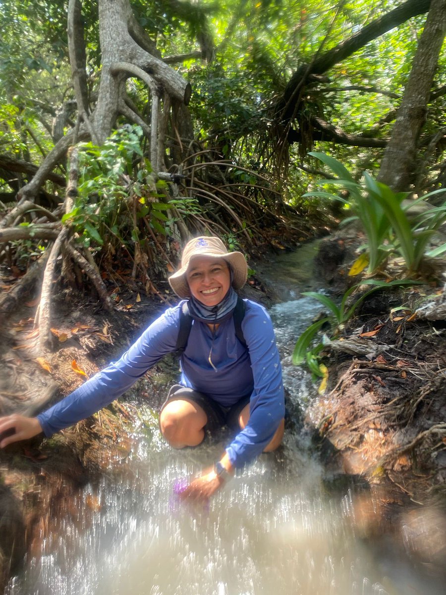 I completed a 3km Other (Distance) for Beatrice 🥷 #NunsRunTheWorld & #WarriorNunRun!

We've run 56792km.

'I went kayaking to the mangrove forest 🥰'

Log yours tinyurl.com/nun-run

 #SaveOURWarriorNun #FreePalestine vía @NunsRunTheWorld