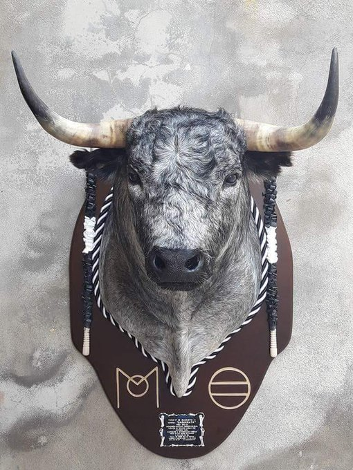 ForosToreros tweet media