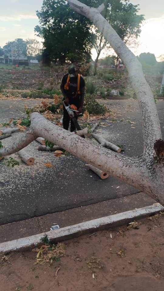 Luego de los vientos huracanados, nuestros equipos de @cbosgm2 se trasladaron a La Paragua a remover un árbol que cayó en esa zona, dando respuesta a través del 1x10 del buen gobierno @NicolasMaduro #5SeñasDelPueblo