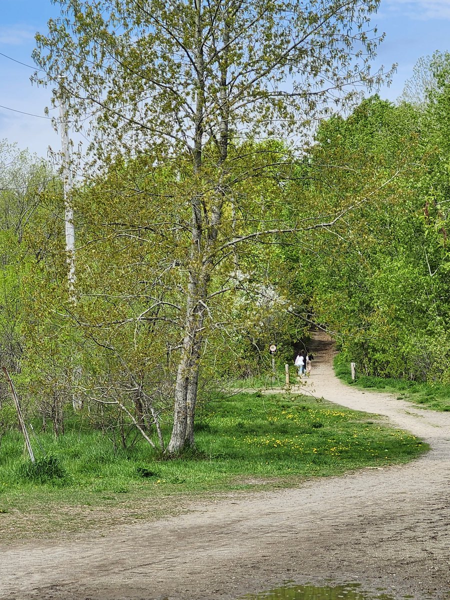 MsBrigitteSTB's tweet photo. 5/6's spent the morning in Conroy Forest learning a new sport with @OttawaOC Map reading &amp; following instructions helped so many Ss be successful with their first attempt at orienteering. #ocsbOutdoorEd #EcoEcoEco #EcoSchoolsCanada https://t.co/l5oU8FpFQo