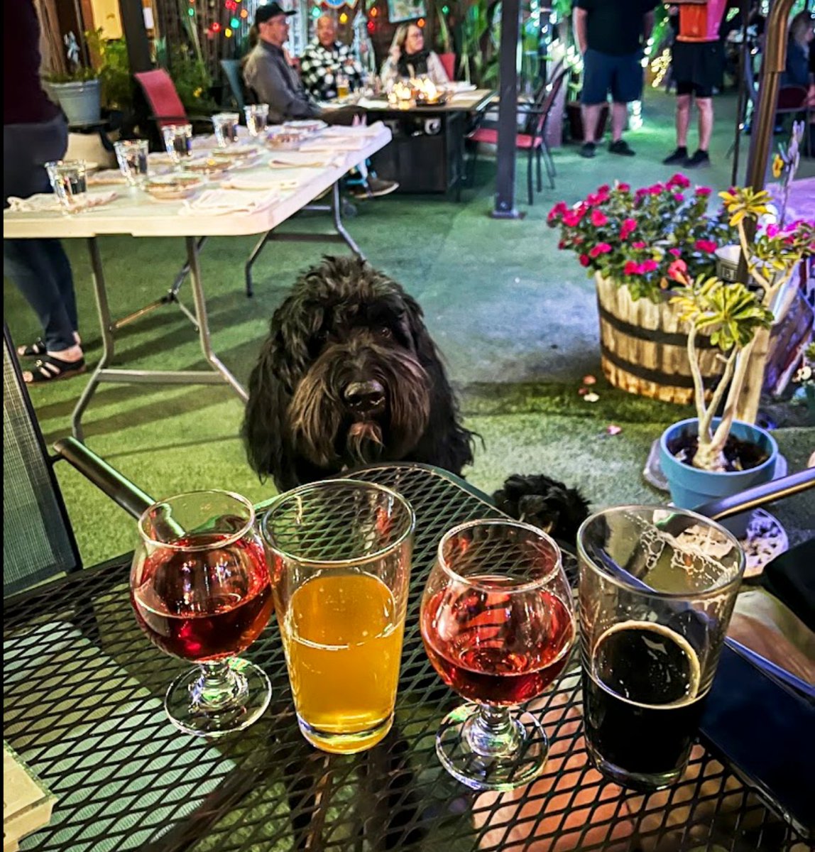 🍻 Kicking off #CraftBeerWeek at @HandlebarPubGrill!
This Apache Junction gem slays with amazing pub eats &amp; an epic craft brew selection, including our Papago Orange Blossom on tap.
Pic cred Brewski the Doodle