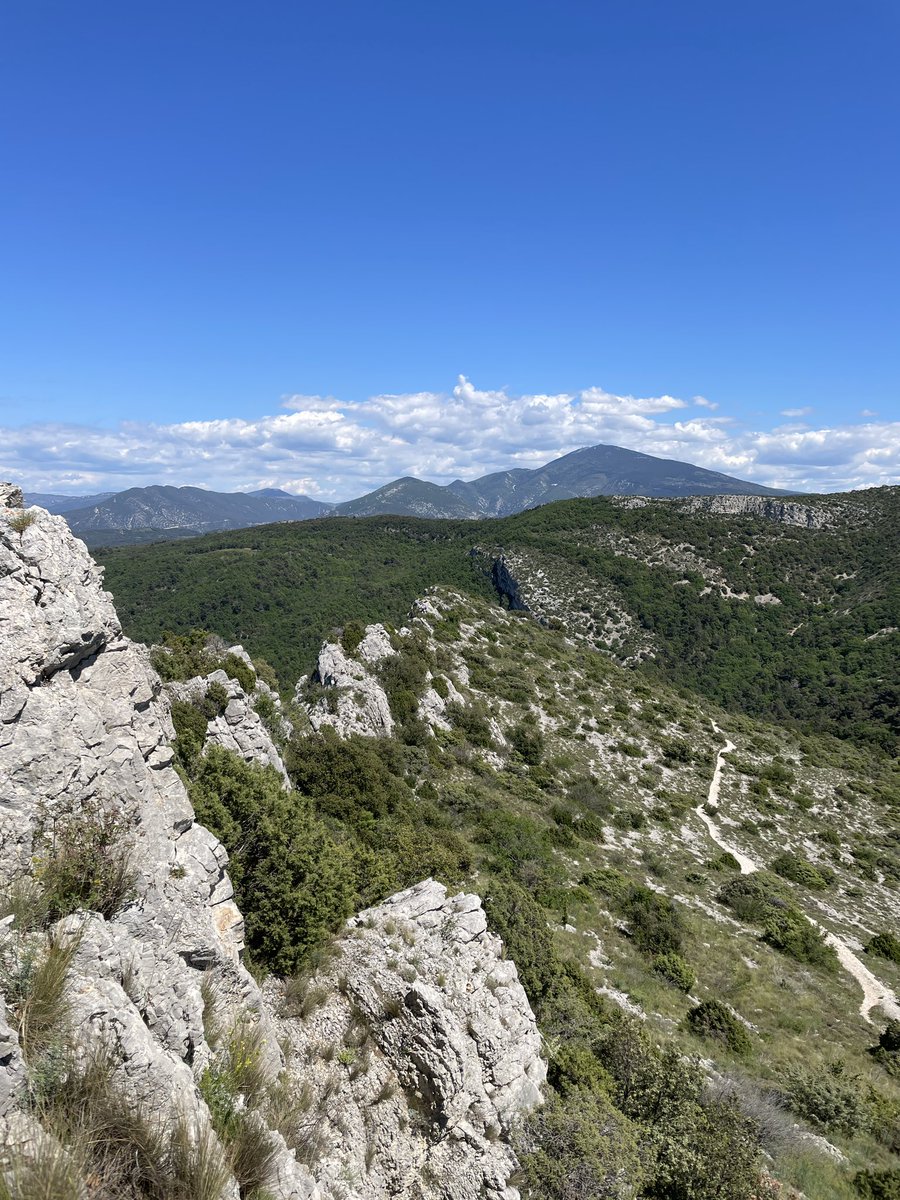 Au loin, le Mont Ventoux 🏔️🤩🥾