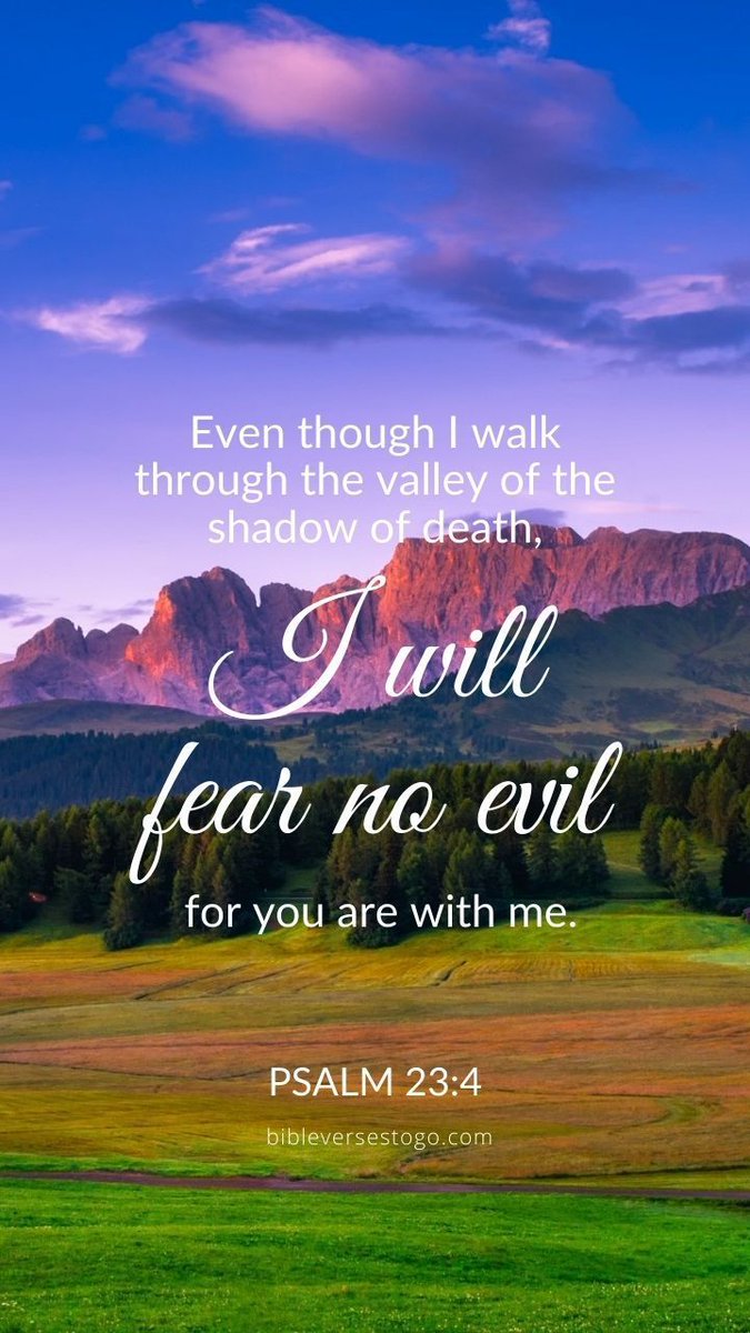 Psalms 23:4 Yea, though I walk through the valley of the shadow of death, I will fear no evil: for thou art with me; thy rod and thy staff they comfort me. AMEN