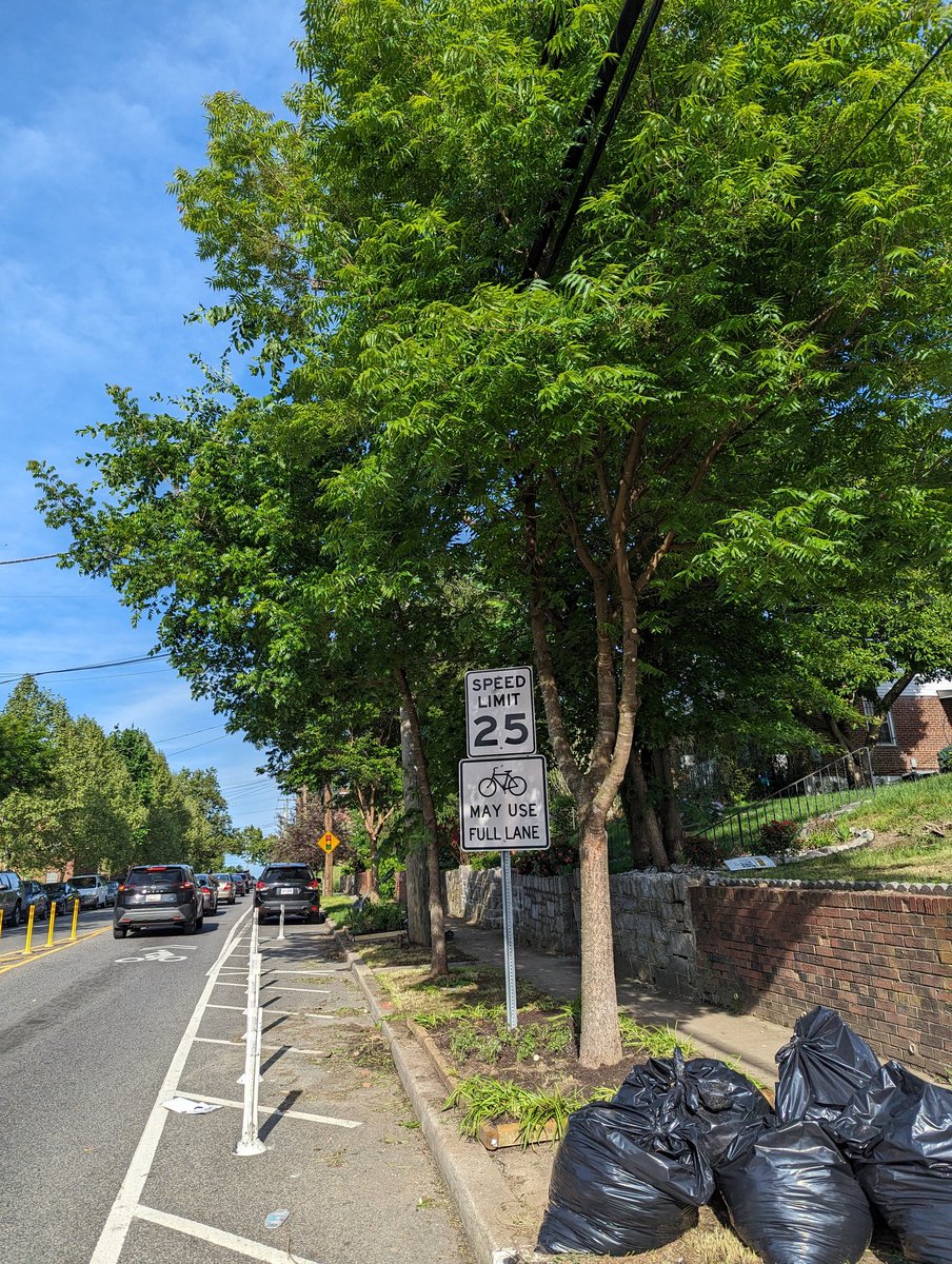 Big shout out to Rudy Delsack @DDOTDC Urban Forestry for taking care of #Ward7DC trees 🌳 and allowing for @SafeSidewalksDC along Sheriff Rd NE @AntawanHolmes @GloverANC7C01 @Simply_Stamper @deanwoodcdc #DeanwoodDC