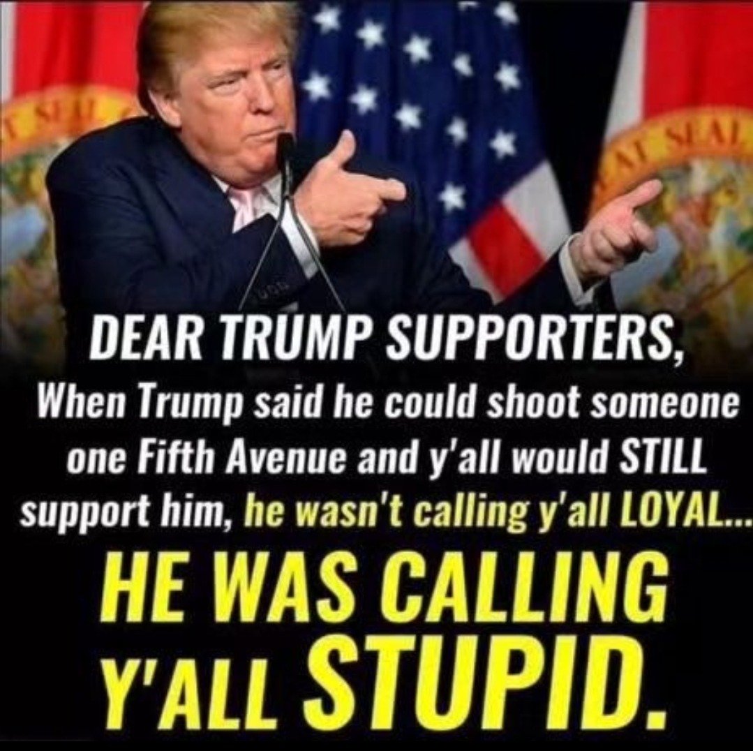 And stupid is exactly what they want.