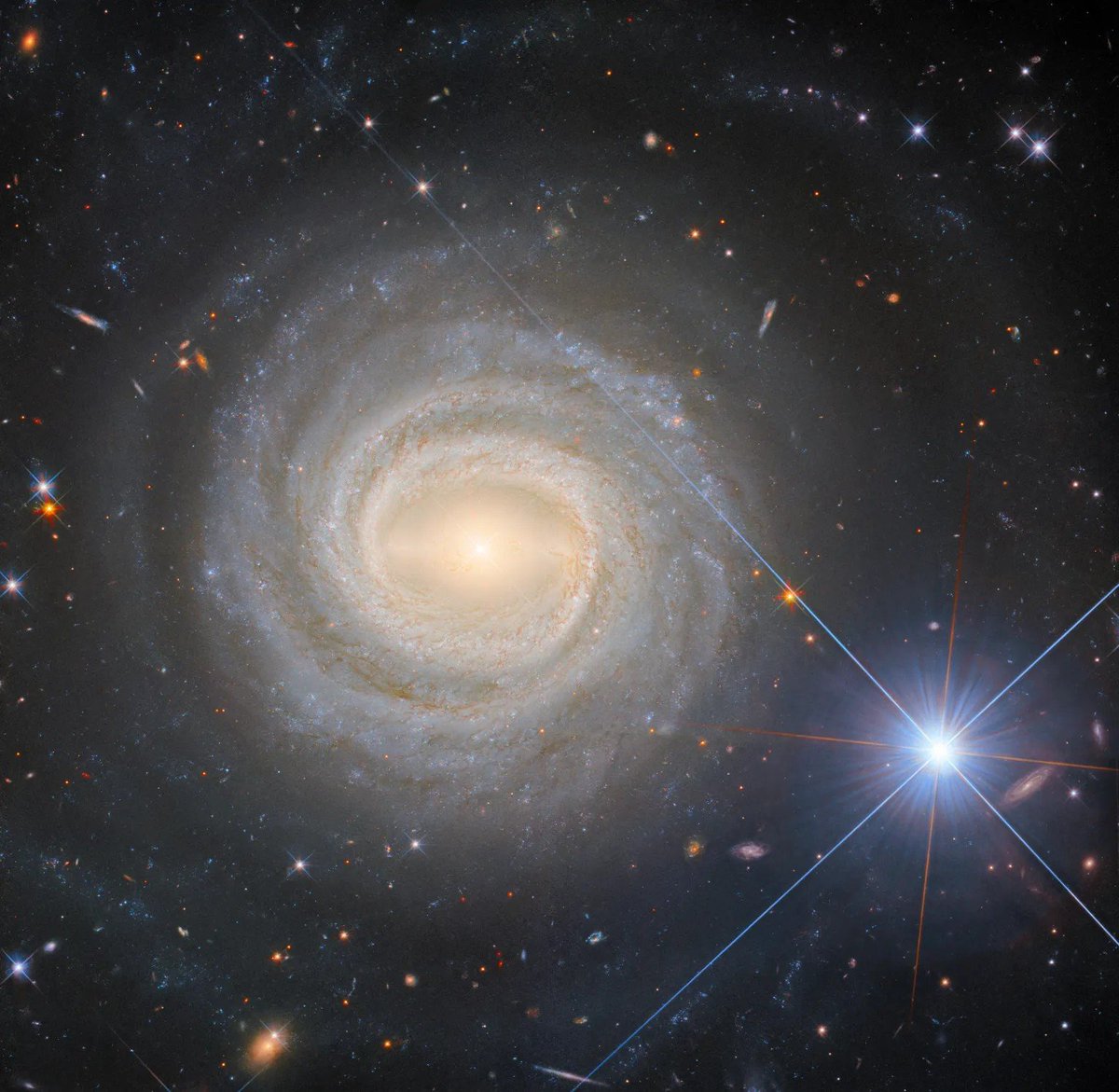 The star of the show 🌟 This @NASAHubble captured NGC 3783, a bright barred spiral galaxy, but in this image, the eye is equally drawn to the very bright object in the lower right. This is the star HD 101274. Learn more about this galactic duo HERE >> go.nasa.gov/3UJ4g8z