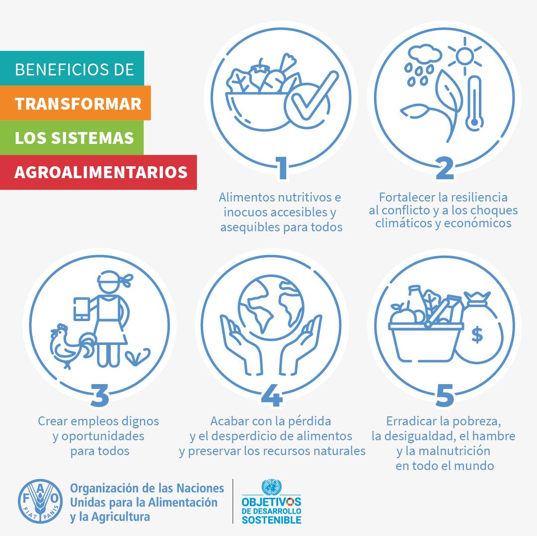 🔎 Conoce los beneficios de la transformación de los #SistemasAgroalimentarios: 🌱 Mejor producción 🥗 Mejor nutrición 🌤 Mejor medio ambiente 👧🏻 Una vida mejor ¡Ayúdanos a compartir y lograr un 🌎 sostenible y con #SeguridadAlimentaria! Vía @faomexico