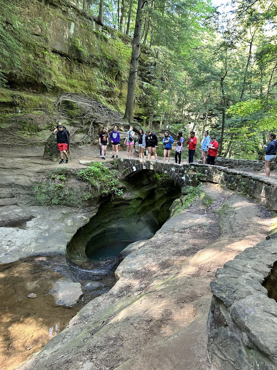 Lisa Sims tweet media