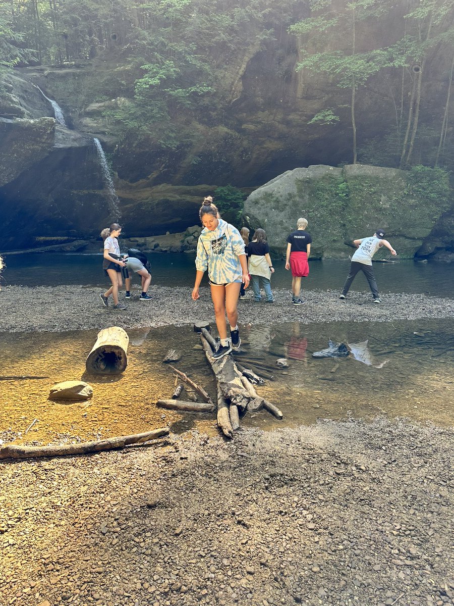 Lisa Sims tweet media