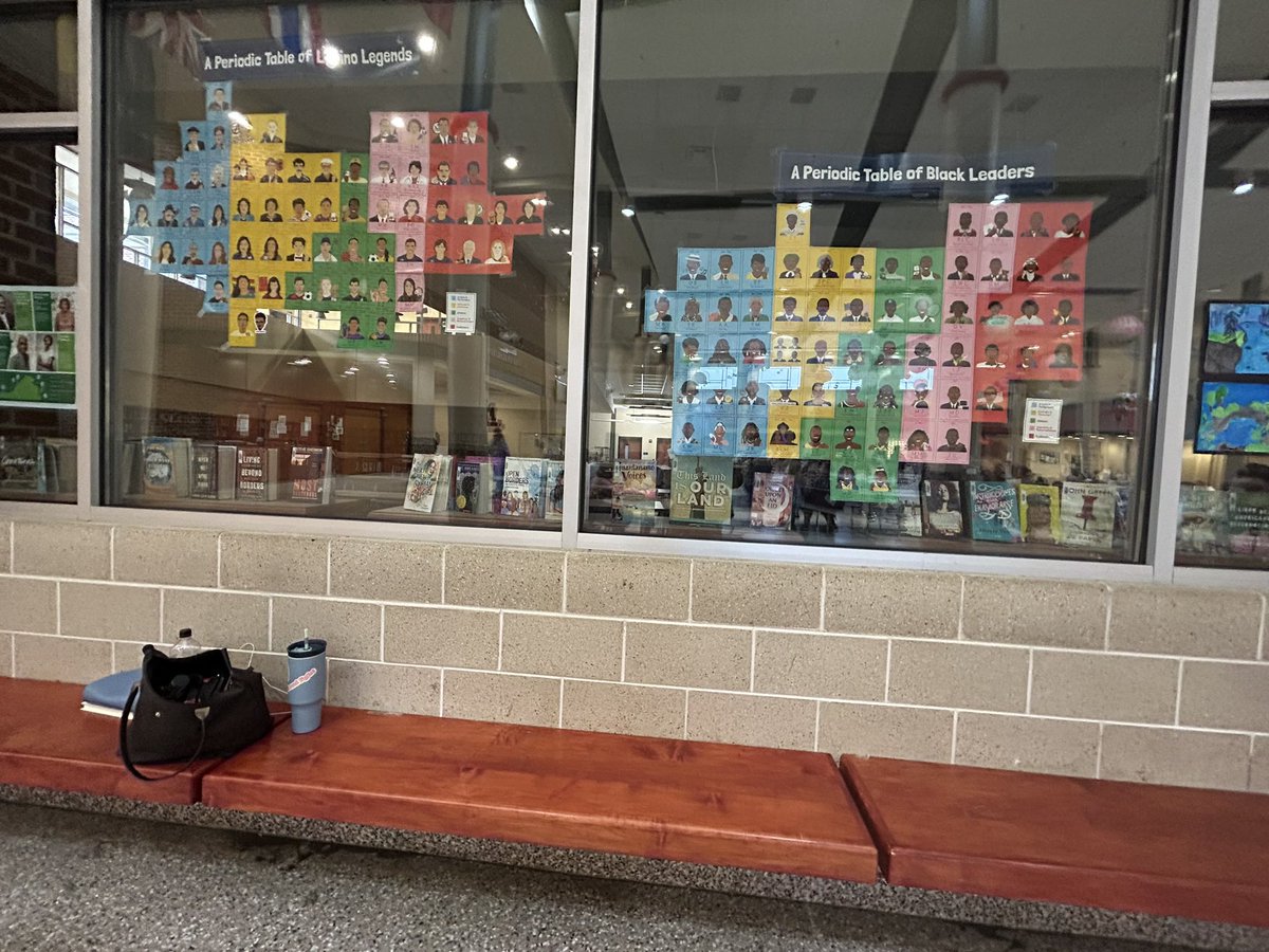 This is what you see walking into James Monroe High School in Fredericksburg, VA.

An indoctrination crash course.

Books about how white people are evil and every other race are victims.

Even books about how illegal immigrants are just “Dreamers” and how cool open borders are.