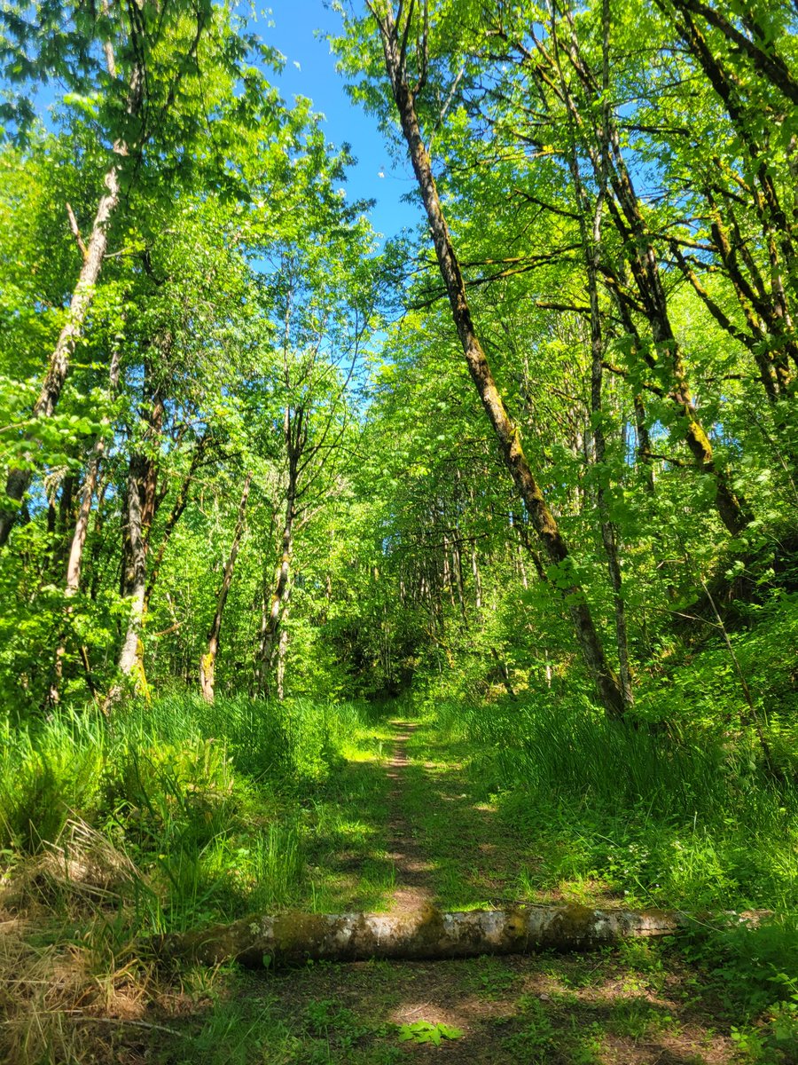 Ｄａｒｂｙ🌊 tweet media