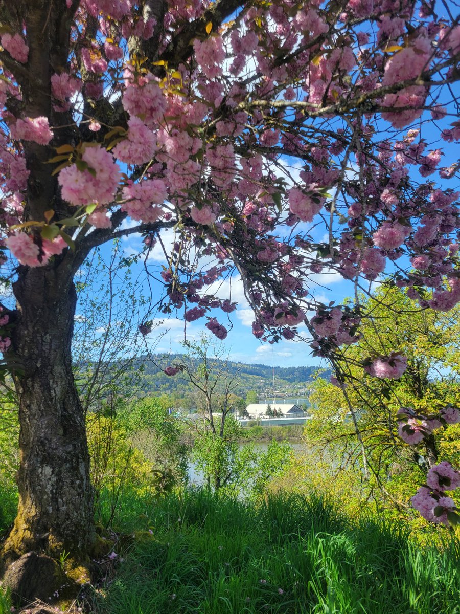 Ｄａｒｂｙ🌊 tweet media