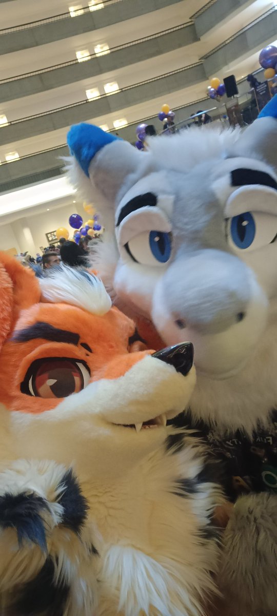 Koinu / 코 이 누 🔜 ??? tweet media