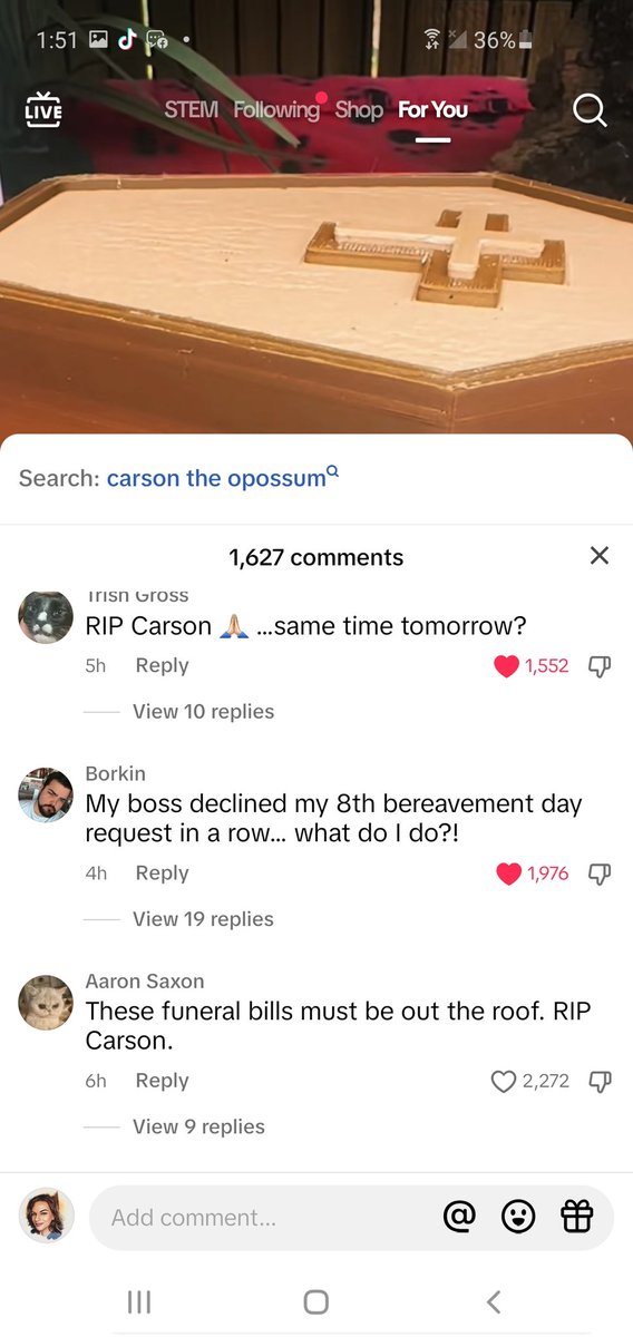 Rescued opposum Carson 'dies' on a daily basis.

He's now internet famous for it.