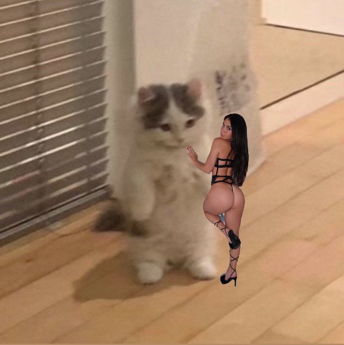 thank you @michionsolana for showing me how something so cute can also make me money!!! 🥹💅 https://t<a class="tags" target="_blank" title="On Twitter" href="/?out=eyJ0eXAiOiJKV1QiLCJhbGciOiJIUzUxMiJ9.eyJpYXQiOjE3MjA4OTk0NzgsImlzcyI6InR3cG9ybnN0YXJzLmNvbSIsIm5iZiI6MTcyMDg5OTQ3OCwiZXhwIjoxNzUyNDM1NDc4LCJyZWRpcmVjdF91cmwiOiJodHRwczovL3R3aXR0ZXIuY29tL21pY2hpb25zb2xhbmEifQ.tNe9N-_PmCmOqGXGmebSijP0P5Lz29Bve3QKzP4zdoqLoYBS8AKlMNzVMkgB8BQzQ4zbuZN8j_Rd3Lmp5OdwFA">@michionsolana</a>