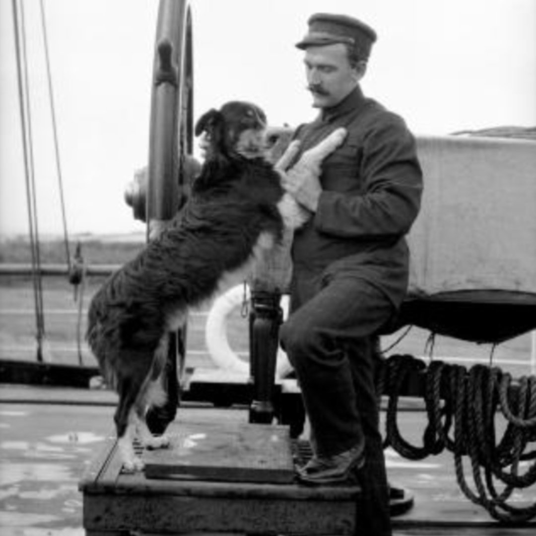 Who's a good dog? 🐾 Image: Samuel J Hood, Ship's officer with pet dog, posed at ship's wheel, 1907-1928. OBJECT NUMBER00020309 You can see this image as part of our touring exhibition Cats and Dogs: All at Sea on show at Bribie Seaside Museum until 4 June. #TuesdayTails