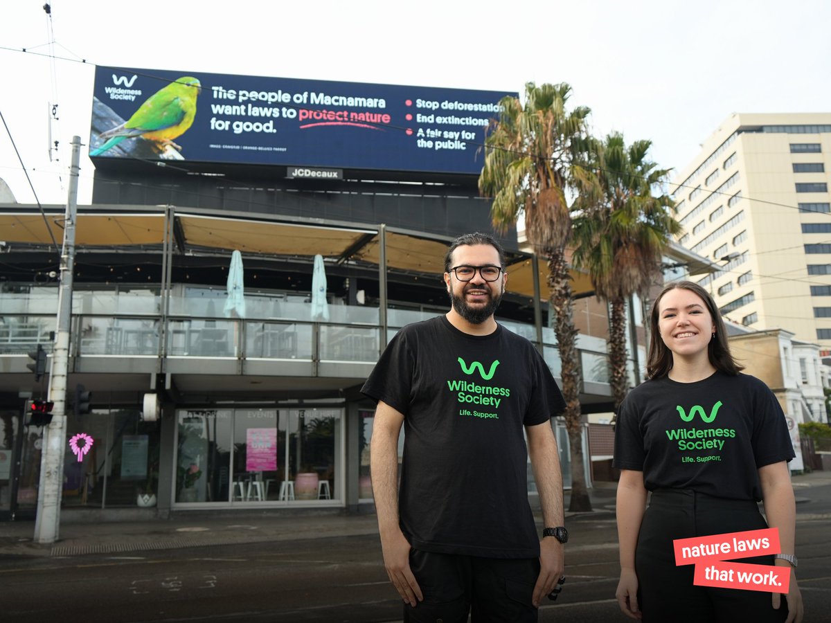 Wilderness_Aus's tweet photo. Have you seen our billboards in St Kilda? Nature is in crisis and needs #NatureLawsThatWork.

The community is calling on Macnamara MP @joshburnsmp to push his government for strong nature laws. #auspol #EPBC https://t.co/NRboQzQJbQ