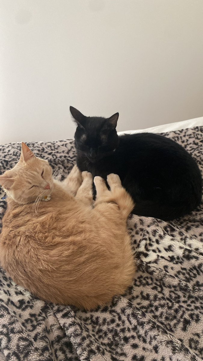 No vaya a ser que se le escape…