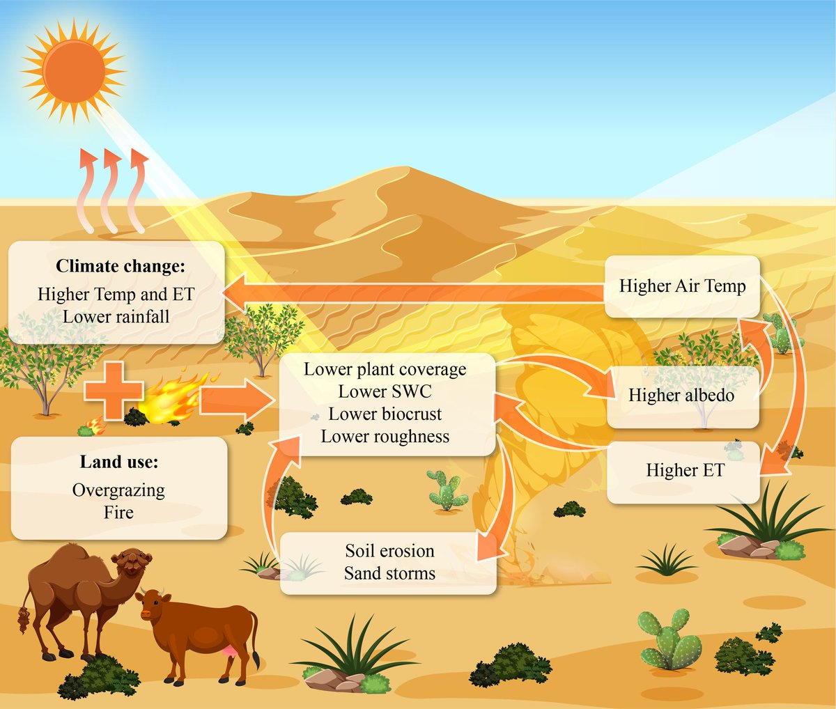 INVITED REVIEW Impact of aridity rise and arid lands expansion on carbon-storing capacity, biodiversity loss, and ecosystem services 📄 onlinelibrary.wiley.com/doi/abs/10.111…