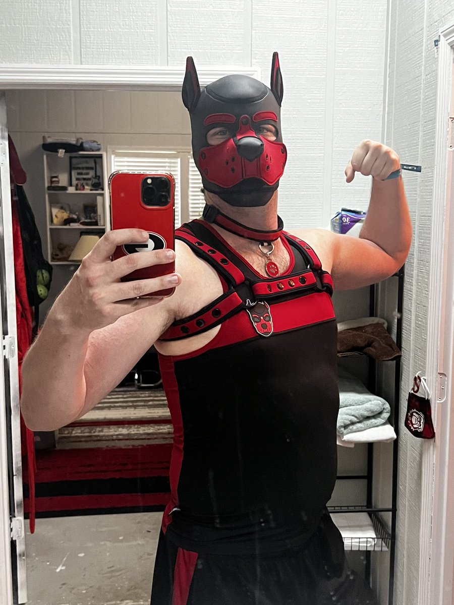 GeorgiaHusky333's tweet image. Pup Georgia already misses his pup friends :3 all pups gib me some howls AWOOOO! #pup #pupper #howl