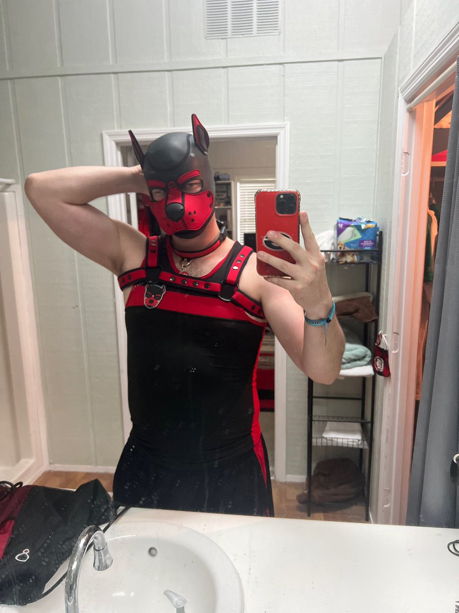 GeorgiaHusky333's tweet image. Pup Georgia already misses his pup friends :3 all pups gib me some howls AWOOOO! #pup #pupper #howl