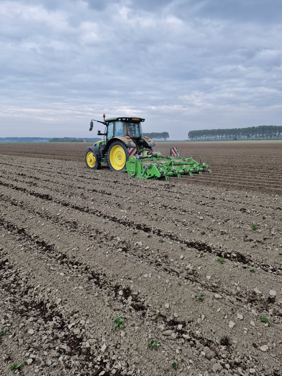 Reint Risseeuw tweet media