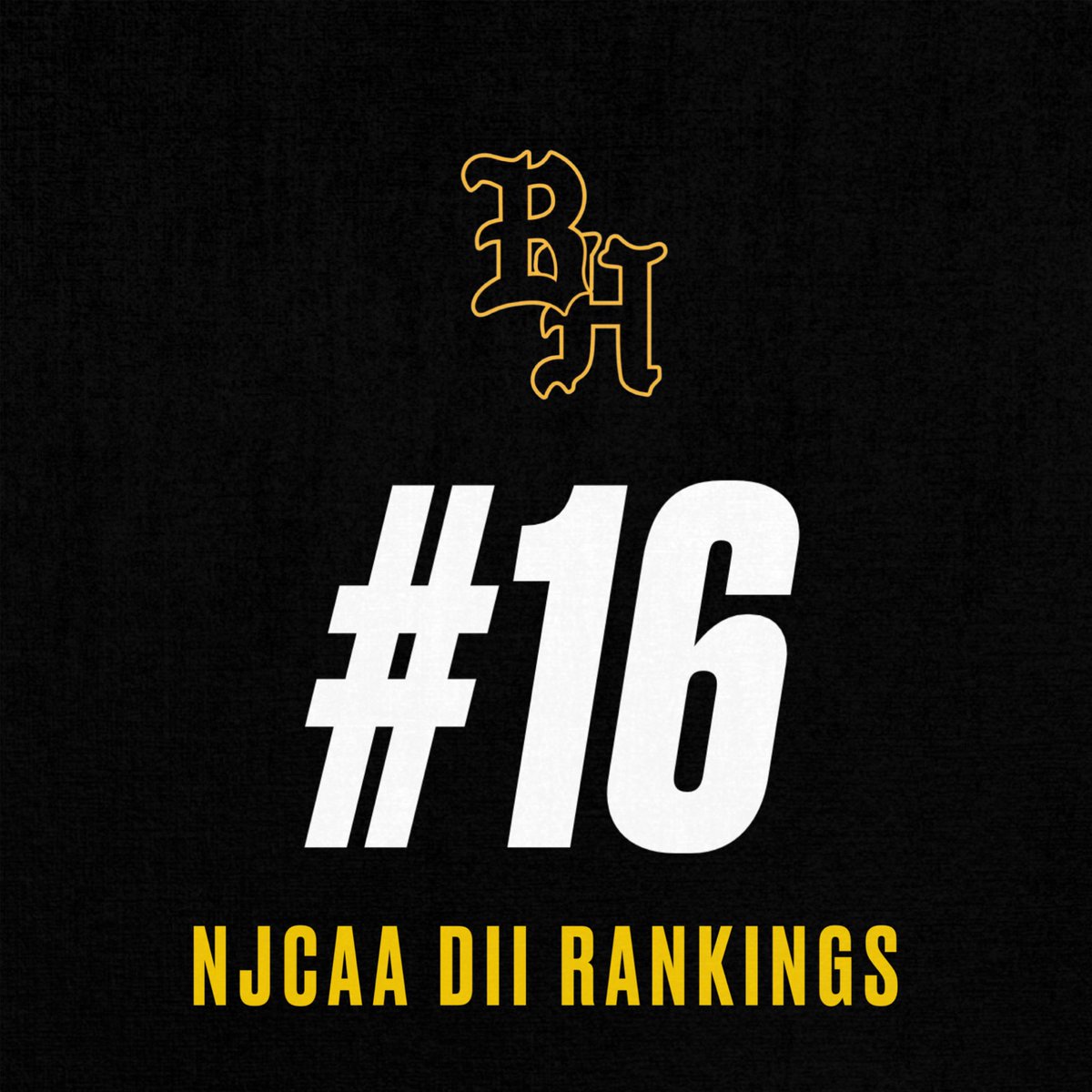 Braves (45-12) ranked at #16 in the final NJCAA Baseball DII National Rankings

🔗 | njcaa.org/sports/bsb/ran…

#TheBraveWay