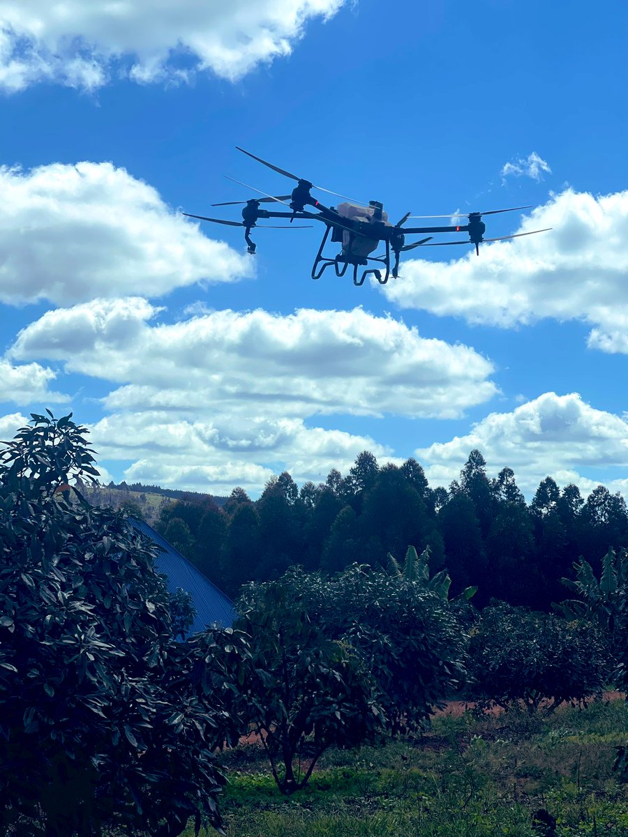 Today I had an opportunity to meet with farmers in Njombe region and demonstrate the benefit of using drone technology in spraying  of pesticides and fertilizers in avocado trees.
#SustainableAgriculture
#DroneTechnology
#TimeSaving 
#CostReduction
#Precision

@tukutech