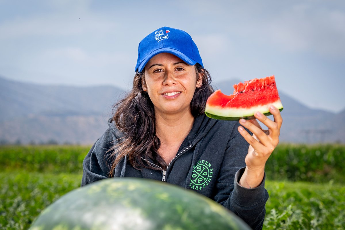 RevistaParentes's tweet photo. INDAP invita a las y los jóvenes rurales de las regiones de Coquimbo y Los Ríos a postular al nuevo programa Mi Primer Negocio Rural.
https://t.co/gJ4KcqlMBL https://t.co/Lv7RYDKJlp
