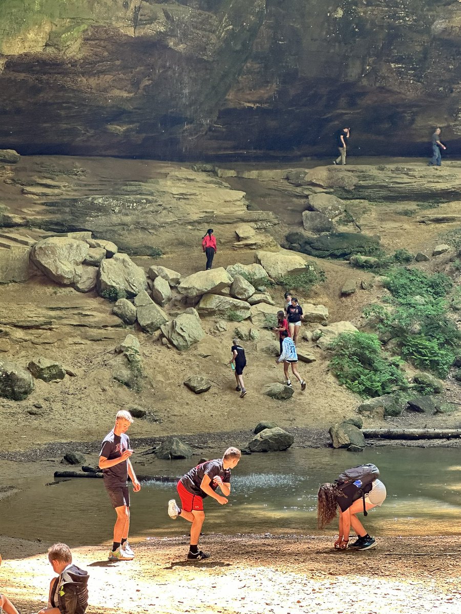 Lisa Sims tweet media