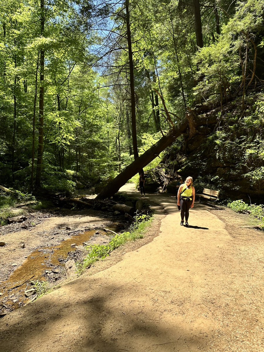 Lisa Sims tweet media