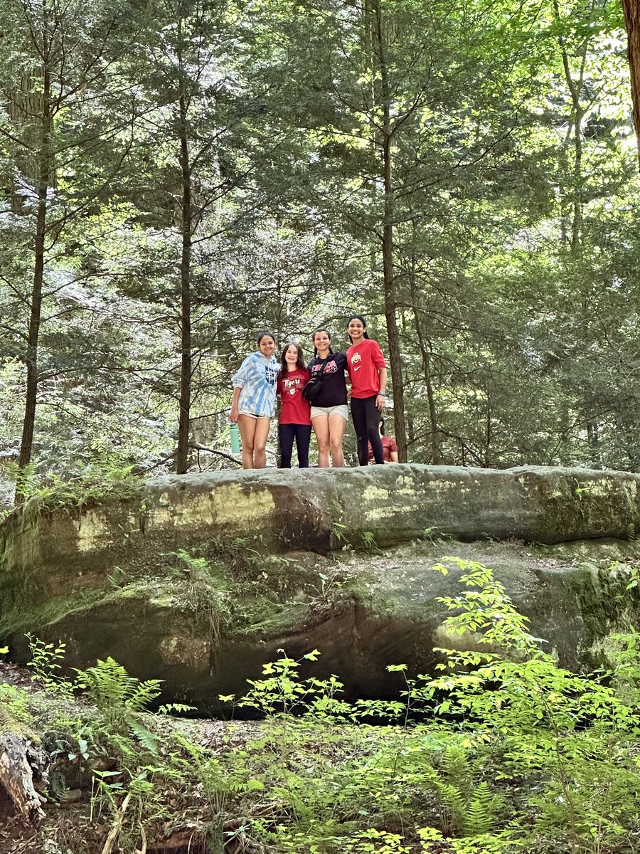 Lisa Sims tweet media