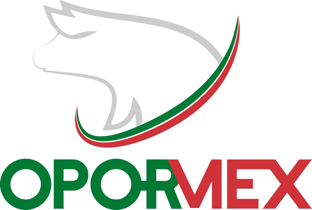 AmbCanMexique's tweet photo. Le Canada est le pays invité au congrès OPORMEX 2024 ! 

Consultez ce répertoire  pour découvrir les technologies et solutions que l'industrie du 🇨🇦 offre à l'industrie porcine du 🇲🇽 ! 

Continuons à travailler ensemble pour le bénéfice de ce secteur !

🔗 https://t.co/JxJFk9WqOW https://t.co/CnuiMp55qZ