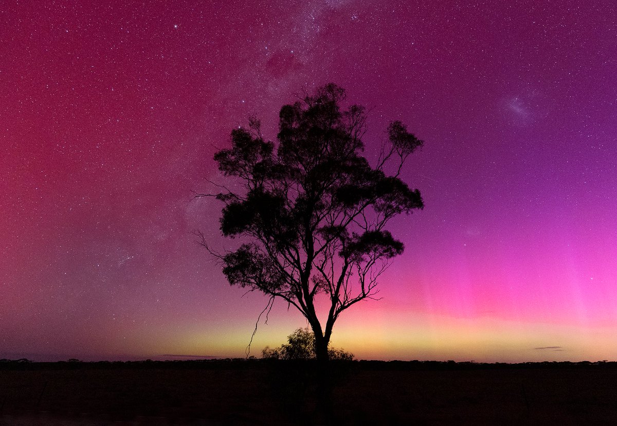 I'm sorry - but I still have more aurora photos to share.
I'll get back to birds in due course.
This was taken at 7:13 pm on Saturday night along a quiet dirt road near Eudunda.
#aurora