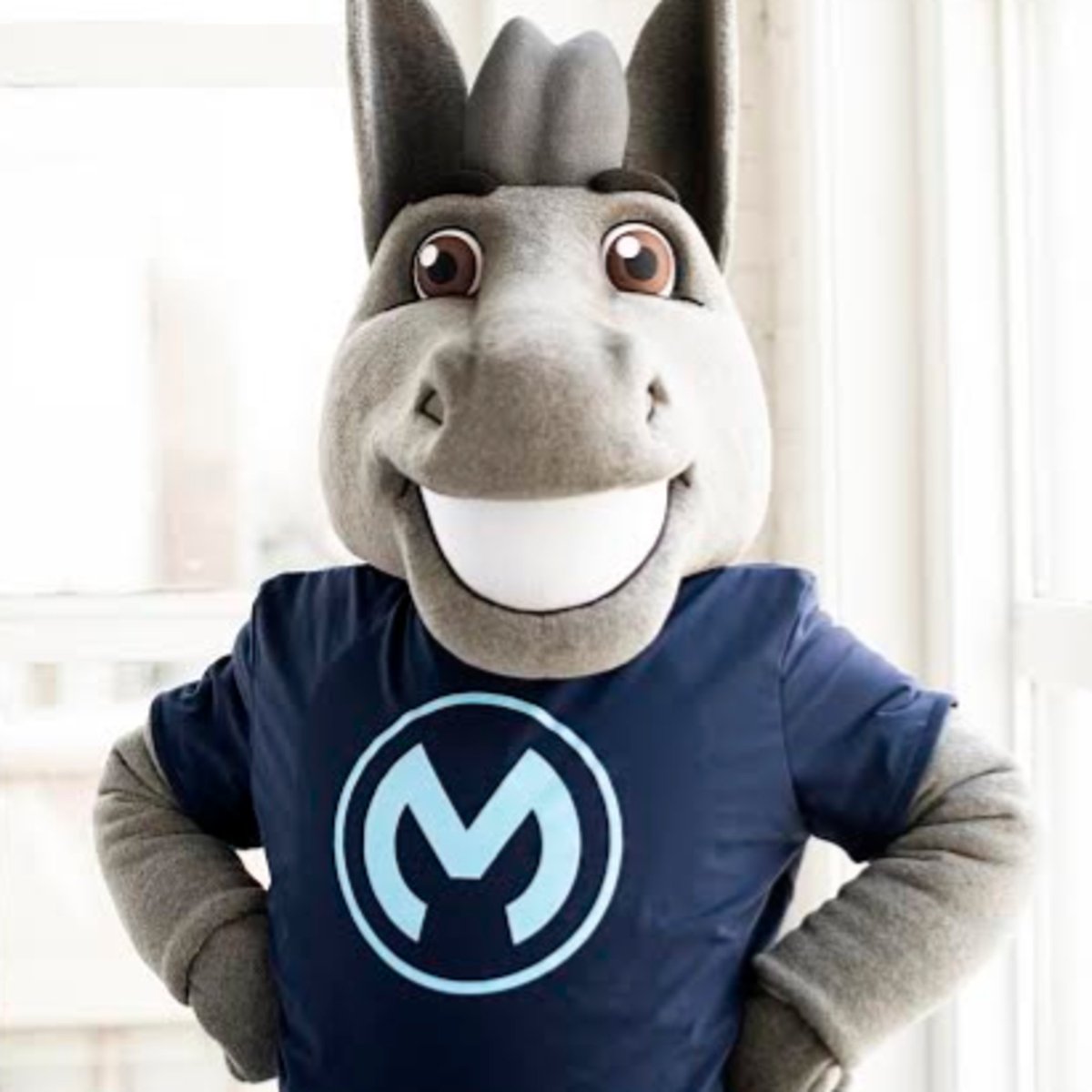This little fellow was very, very good to me today. #mulesoft
