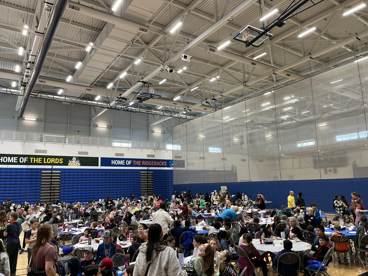 DDSB Innovative Education - Libraries tweet media