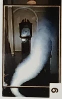 Ghostly Mist Caught On Photos At The World Of James Herriot In Thirsk,  North Yorkshire.
Witness stated'On the first day it opened in 1999 my wife took a photo of me standing in the hall in front of the grandfather clock. But on the negatives, It shows this.
Credit: Albert Parker