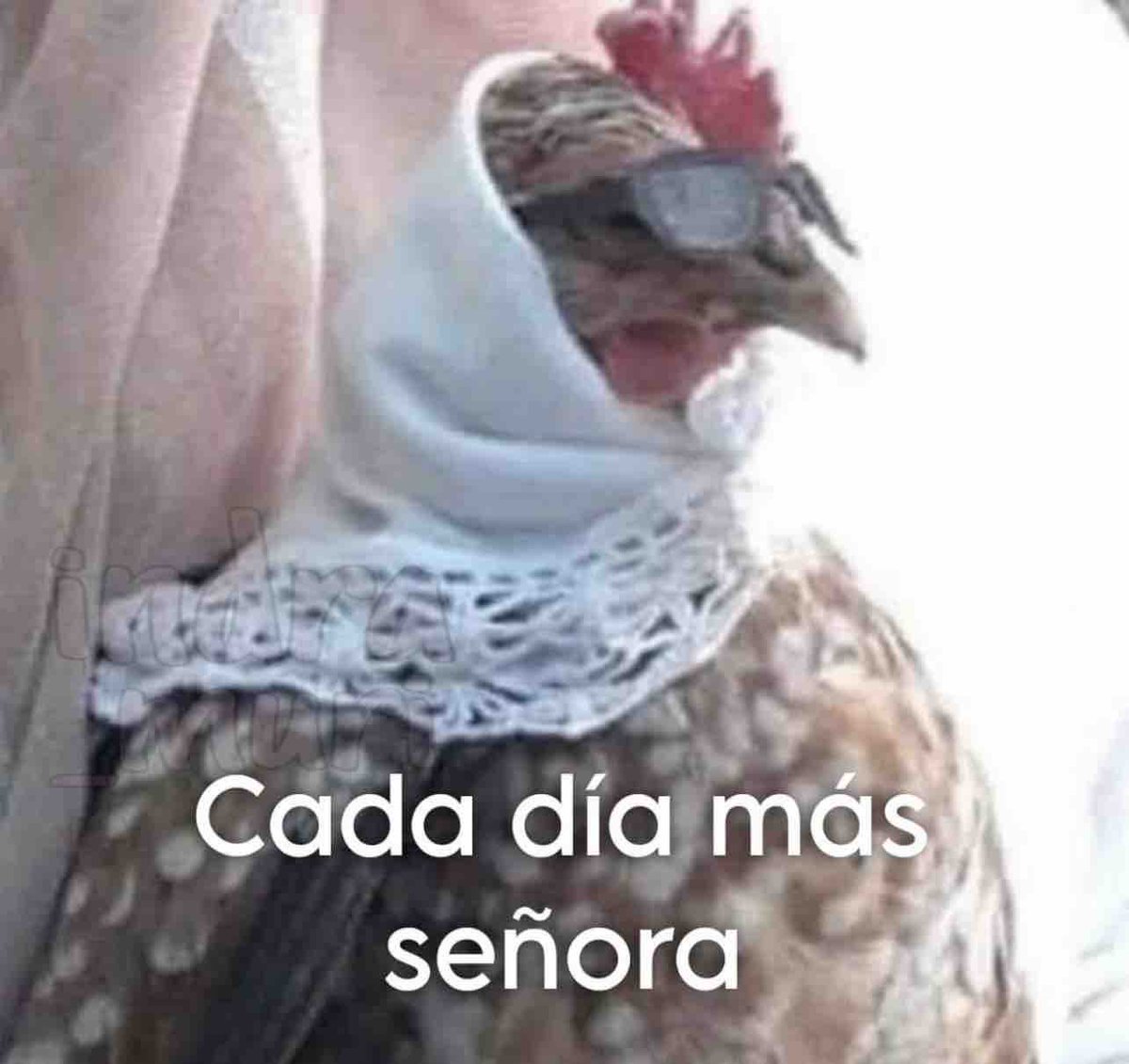 Nderakoreami tweet media